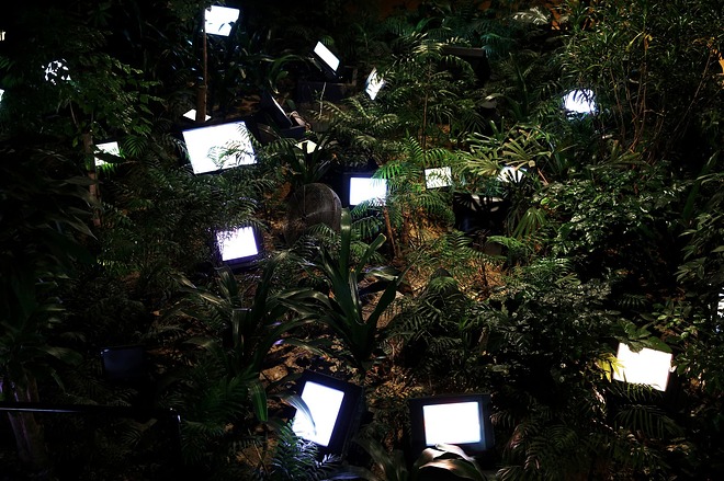 Nam-June-Paik-TV-Garden-1974-video-installation-with-color-television-sets-and-live-plants-dimensions-vary-with-installation-5-1071347469